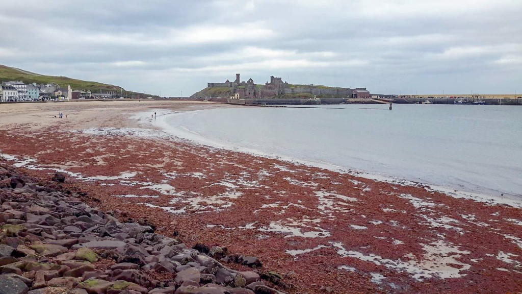 Peel Castle from across the beach